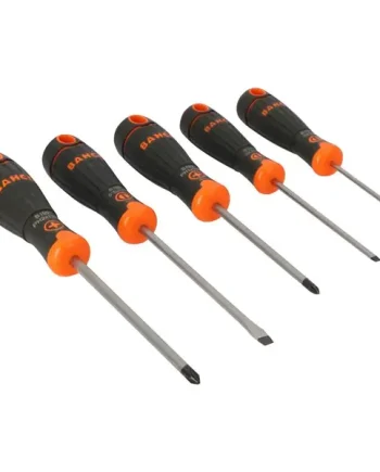 B219.005 BAHCOFIT Screwdriver Set, 5 Piece