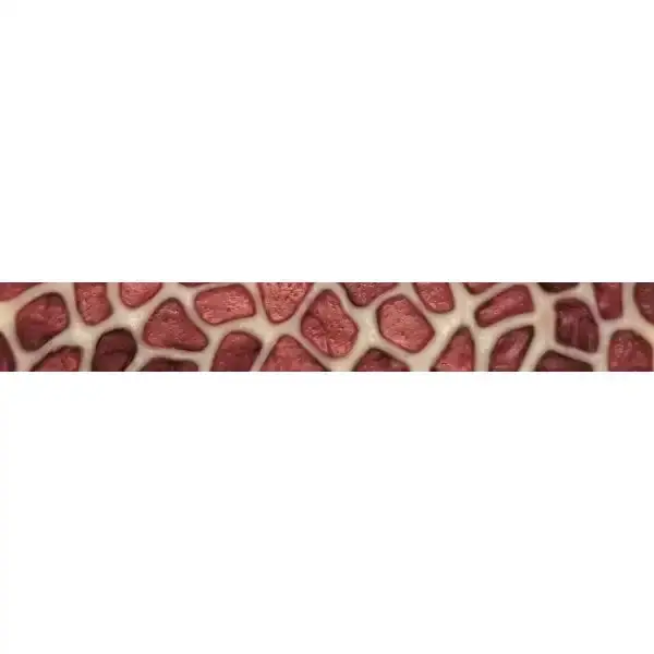 Giraffe & Zebra Pen Blanks