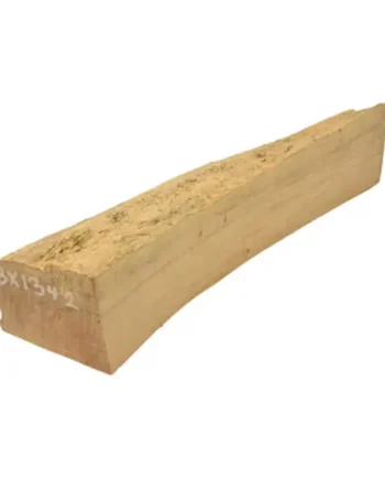 English Boxwood 1½" x 1¾" x 9" BX1342